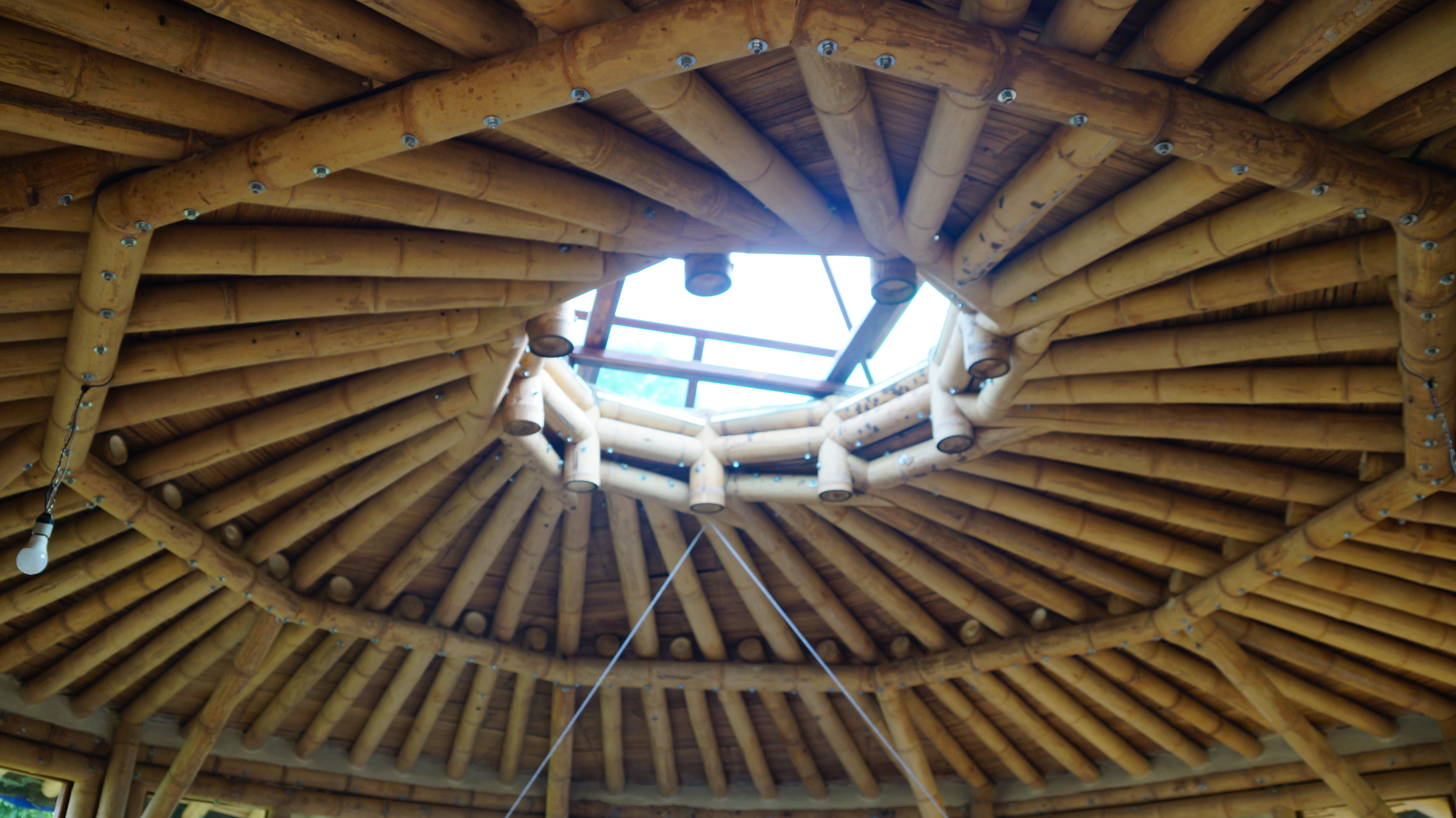 2019-Bahaoa - imagen 2