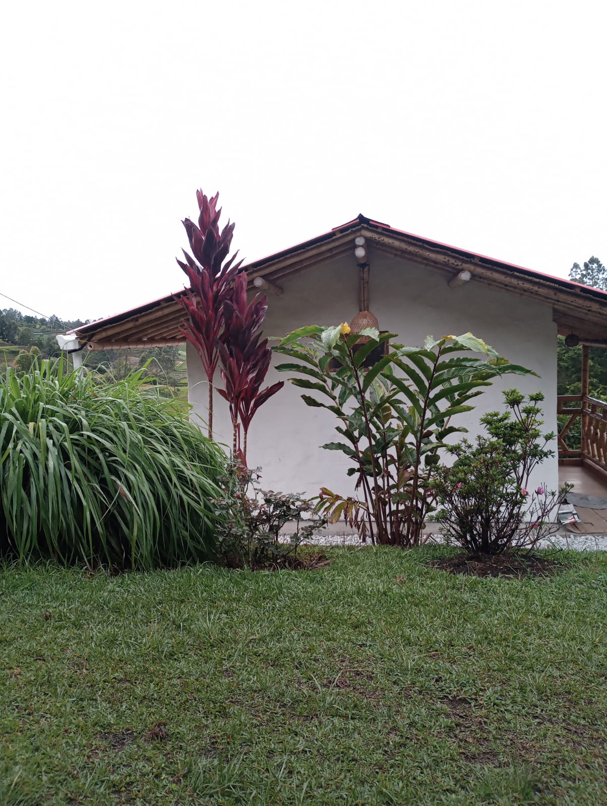 2023-Cabaña milagros - imagen 3