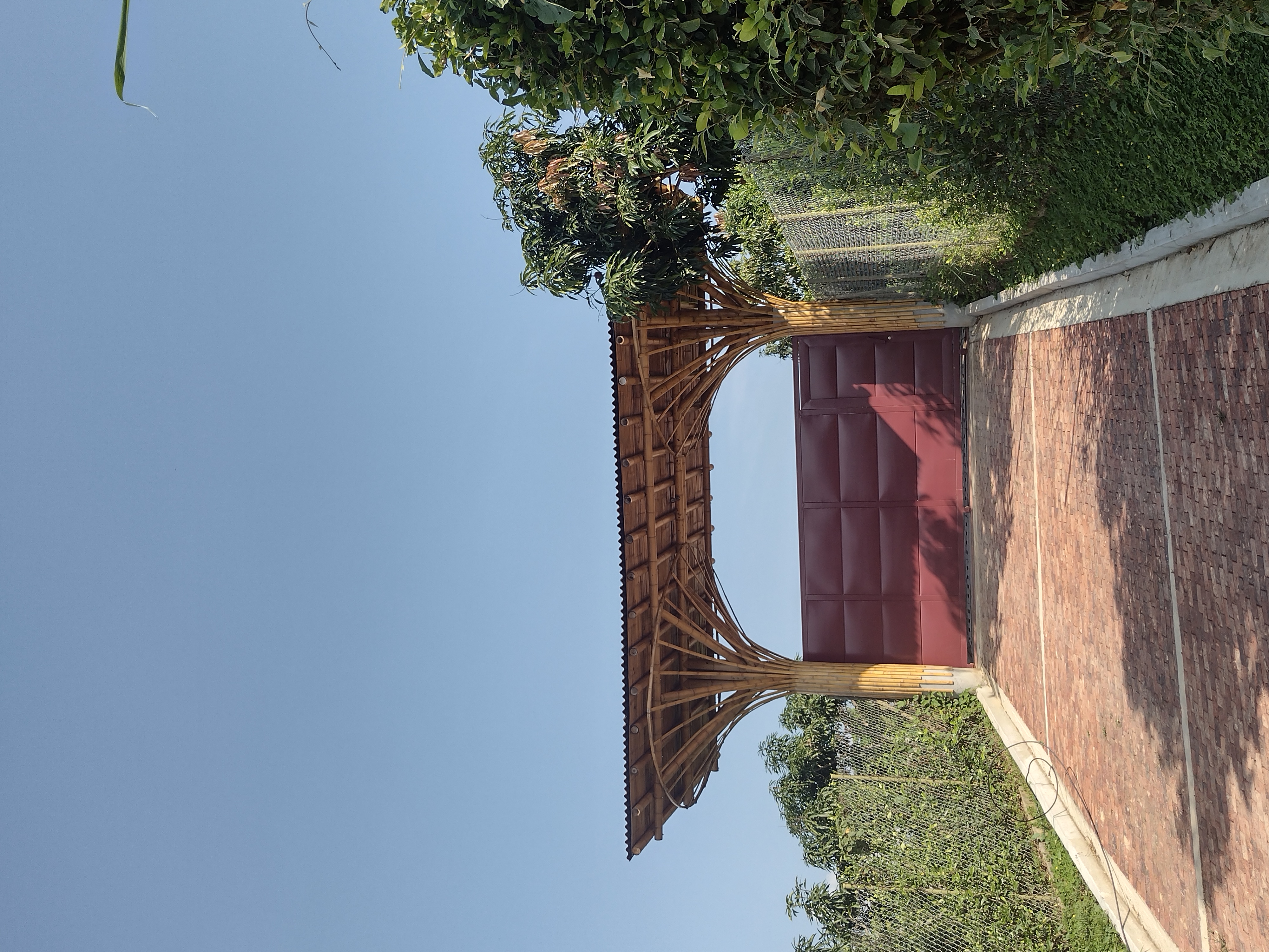 2021-Salamandra - imagen 3