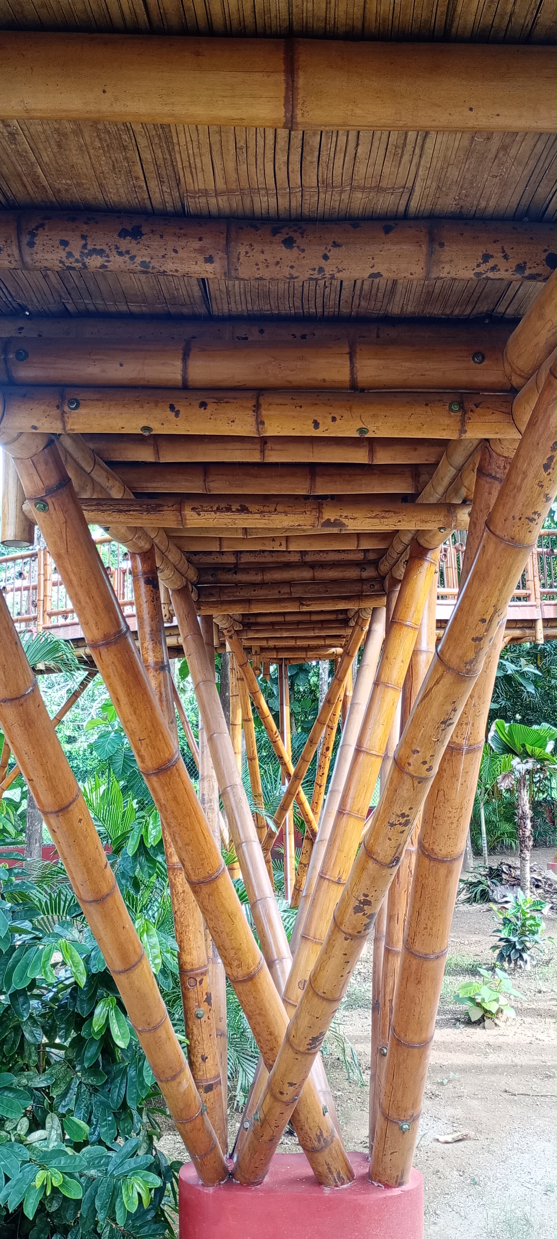 2023-Plataformas Algeciras del mar - imagen 3