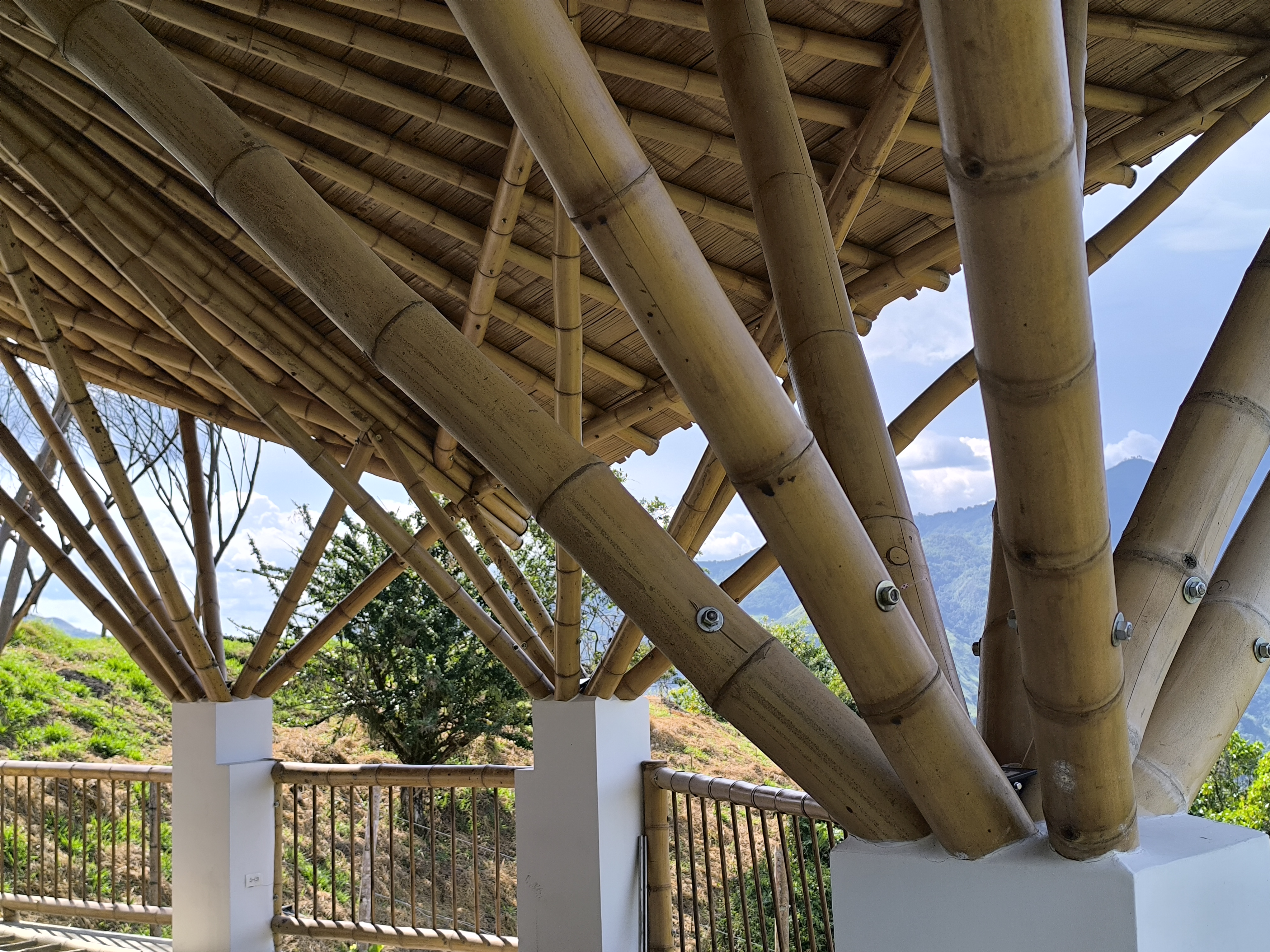 2024-quiosco Guadalupana - imagen 3