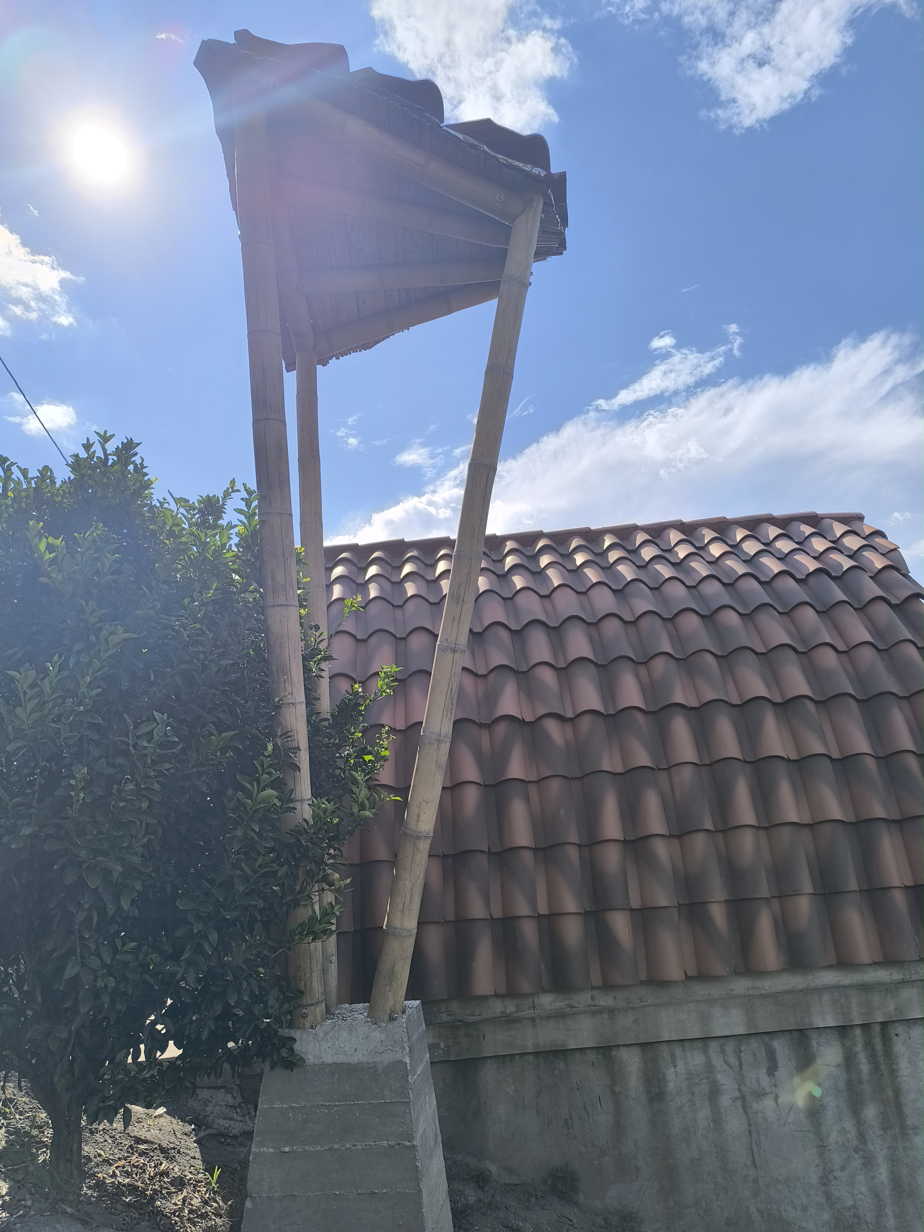 2022-Capilla Guadalupana - imagen 3